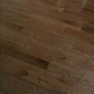 Meet your Posher, Robin